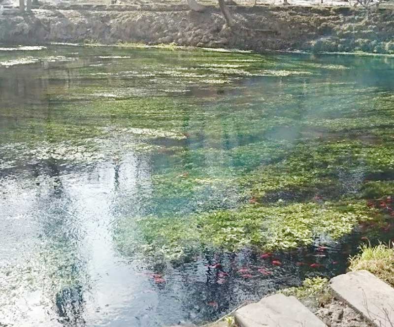 1464063347116814.jpg 6AE4E2A2ADBF0849B125791AA97F78C7.jpg